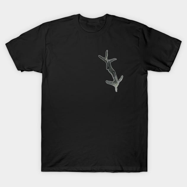 Jindongornipes - Early Cretaceous Bird Footprint T-Shirt by BirdGlamour